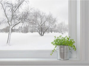 The-Importance-of-Indoor-Air-Quality-in-Winter-Keeping-Your-Home-Comfortable-and-Healthy