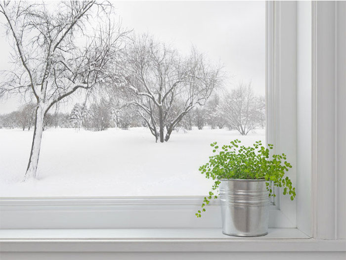 The Importance of Indoor Air Quality in Winter: Keeping Your Home Comfortable and Healthy